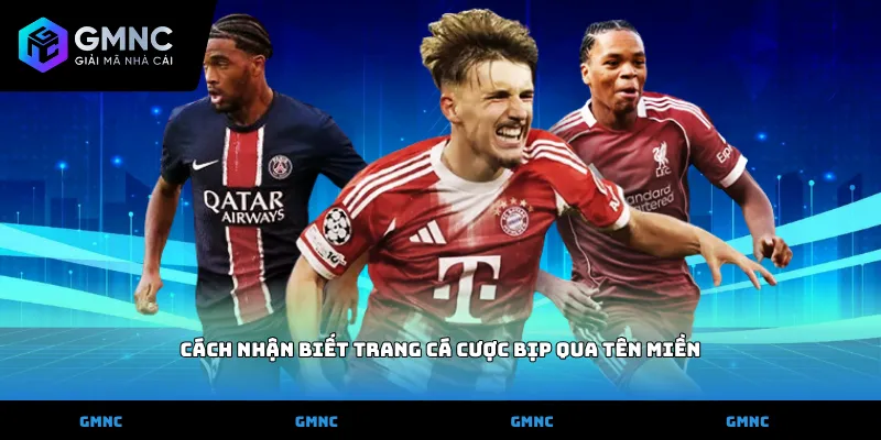 Cách nhận biết trang cá cược bịp qua tên miền